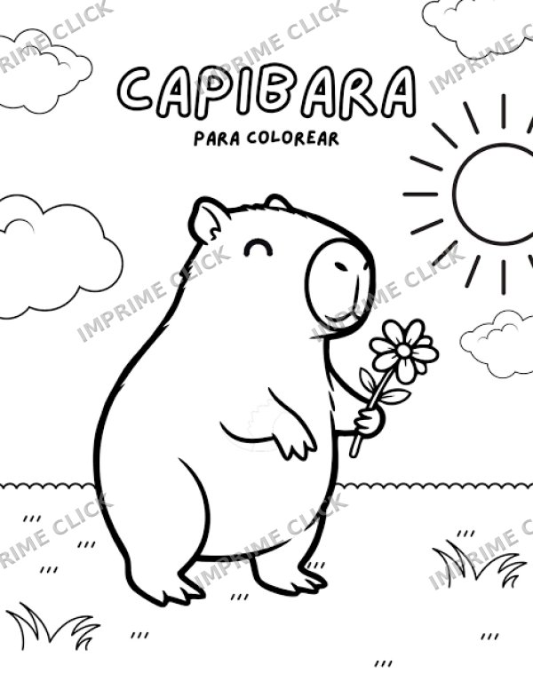 Foto de la galería