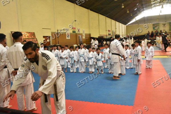 Foto de la galería