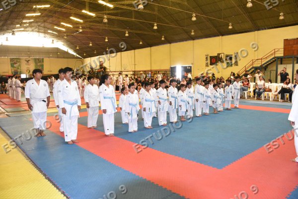 Foto de la galería