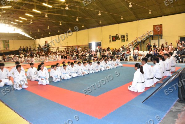 Foto de la galería