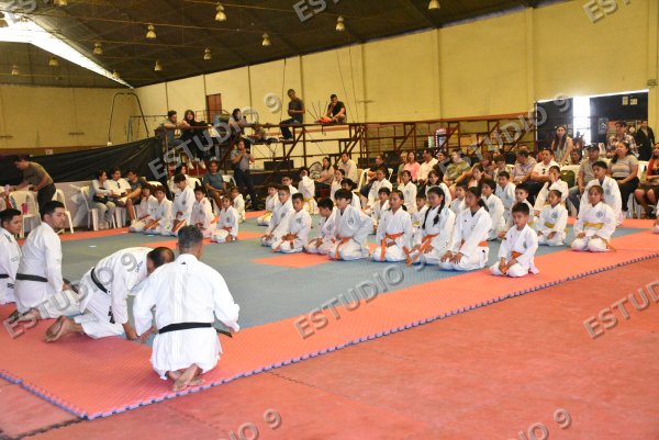 Foto de la galería