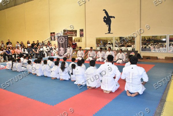 Foto de la galería
