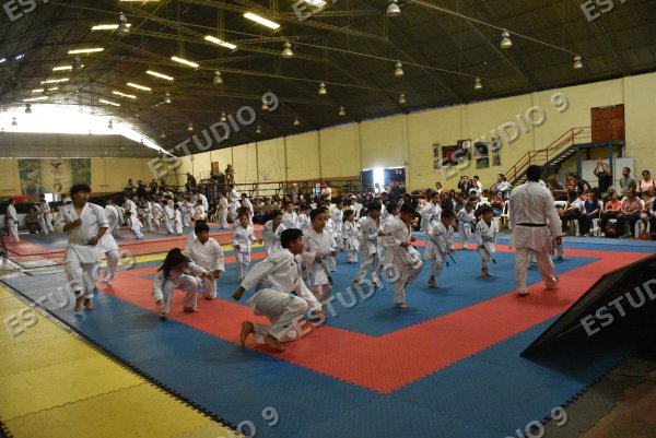 Foto de la galería