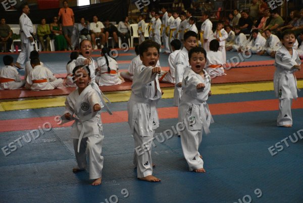 Foto de la galería
