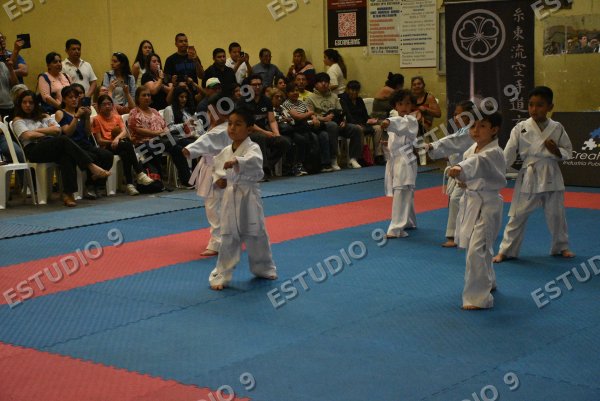 Foto de la galería