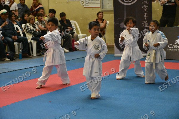 Foto de la galería