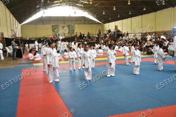 Foto de la galería