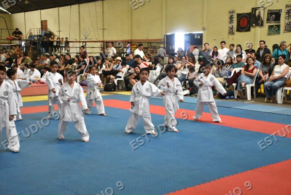 Foto de la galería