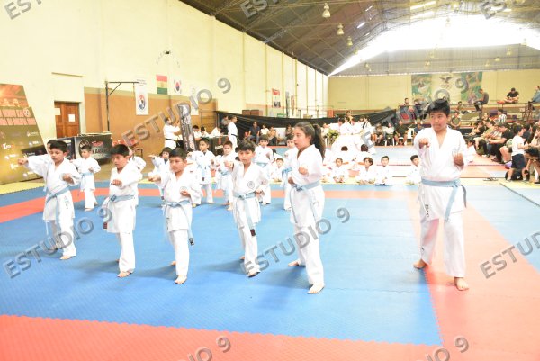 Foto de la galería