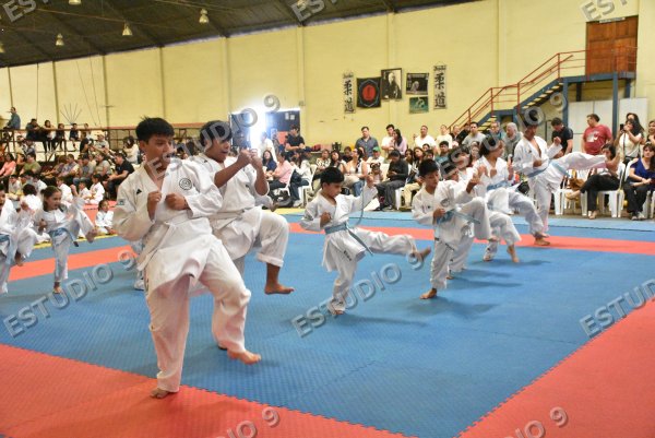 Foto de la galería