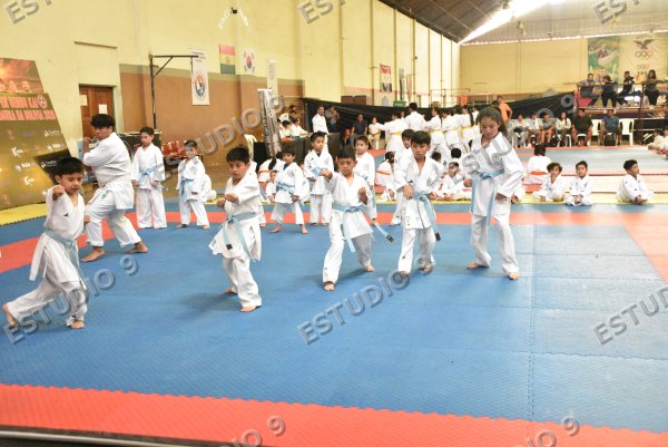 Foto de la galería