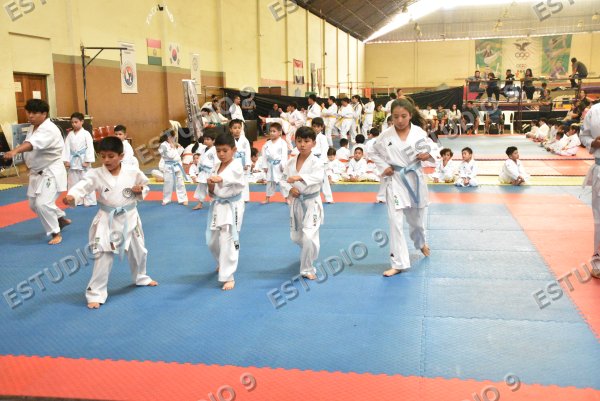 Foto de la galería