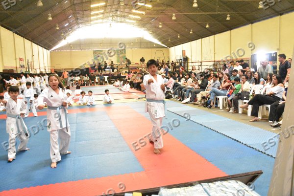 Foto de la galería