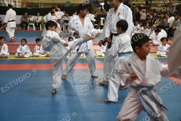 Foto de la galería