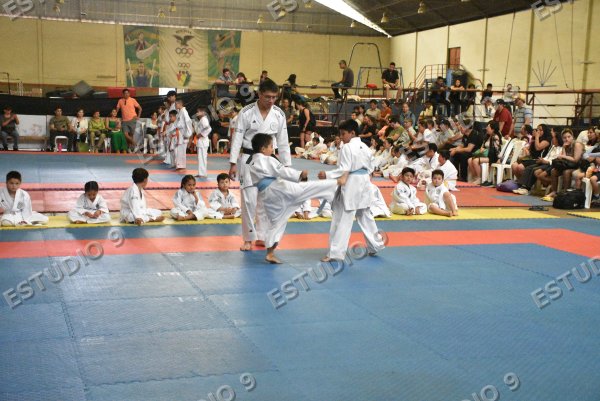 Foto de la galería