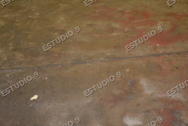 Foto de la galería