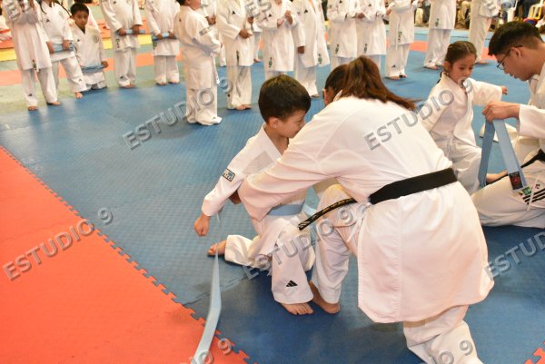 Foto de la galería