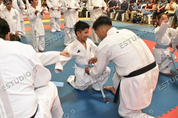 Foto de la galería