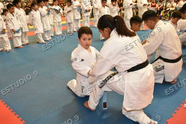 Foto de la galería