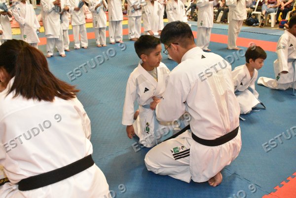 Foto de la galería