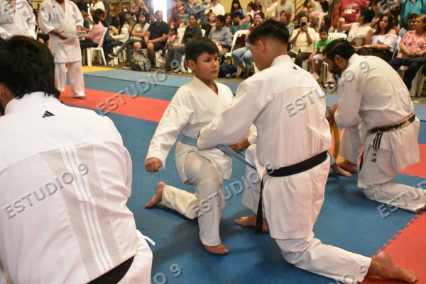Foto de la galería