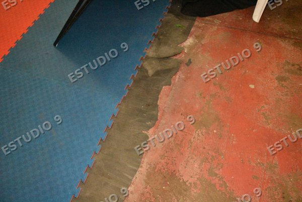 Foto de la galería