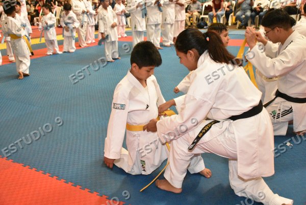Foto de la galería