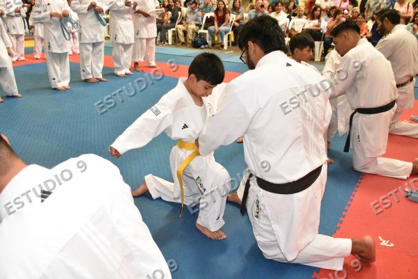 Foto de la galería