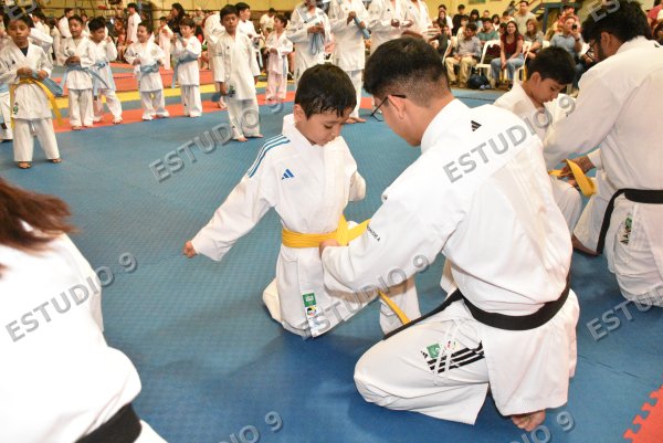 Foto de la galería
