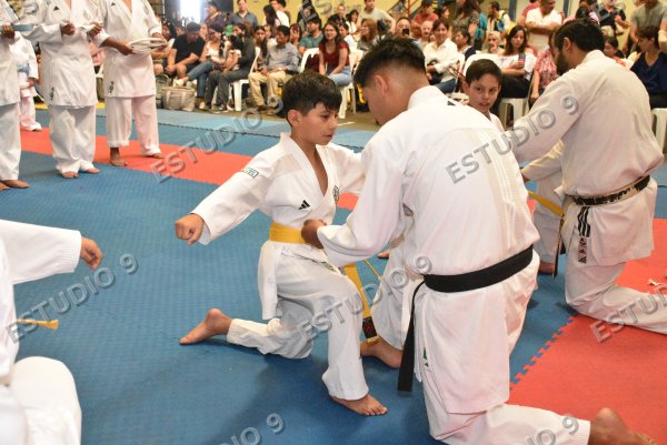 Foto de la galería