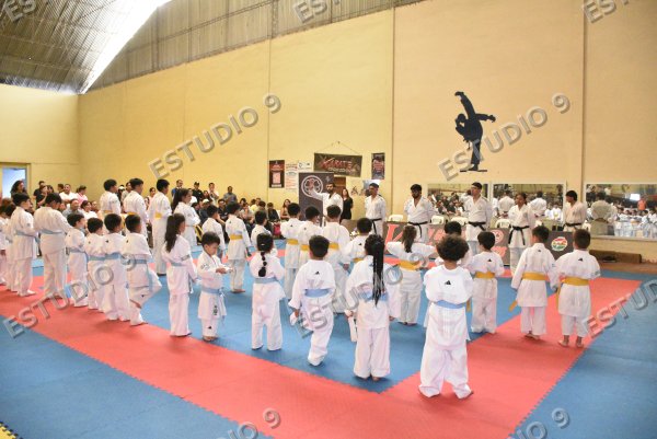 Foto de la galería