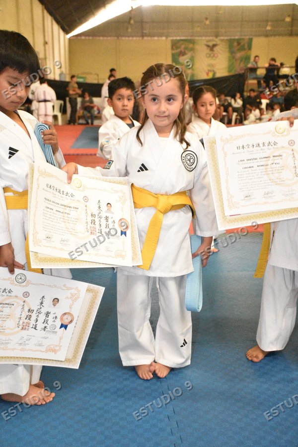 Foto de la galería