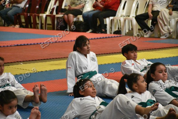 Foto de la galería