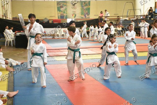 Foto de la galería