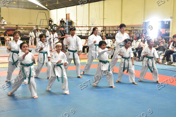 Foto de la galería