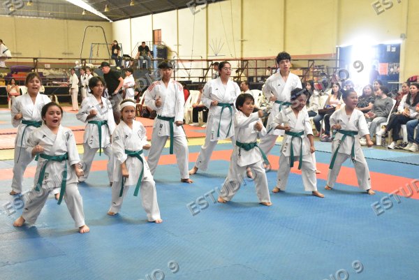 Foto de la galería