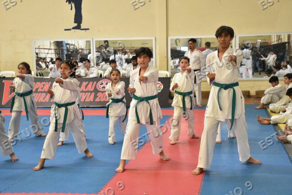 Foto de la galería
