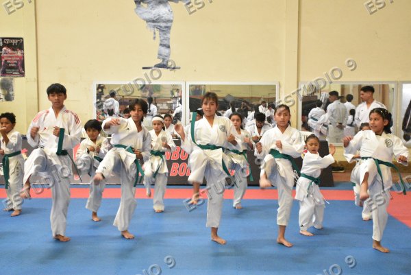 Foto de la galería