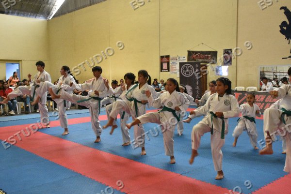 Foto de la galería