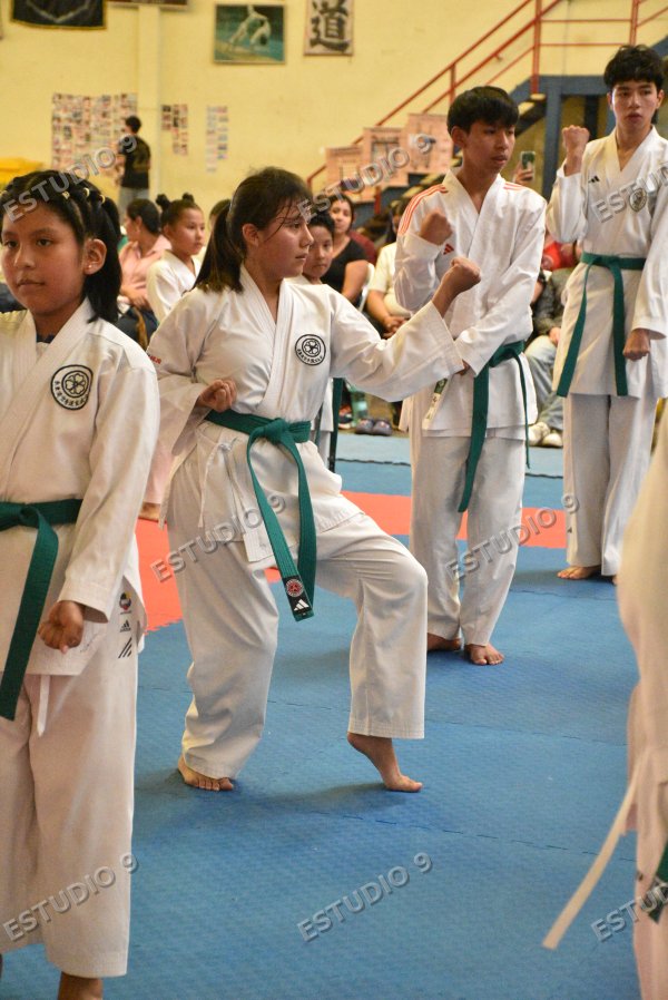 Foto de la galería