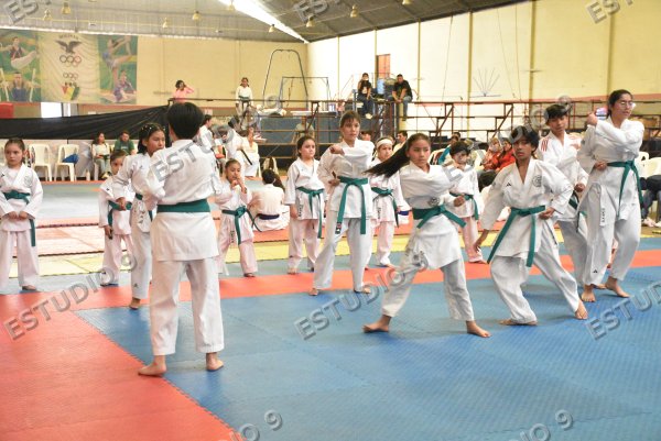 Foto de la galería