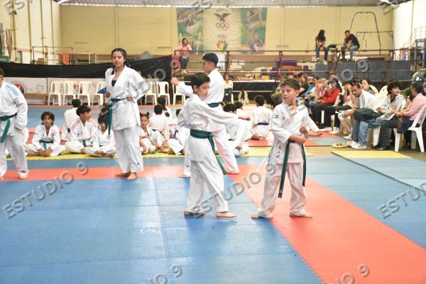 Foto de la galería
