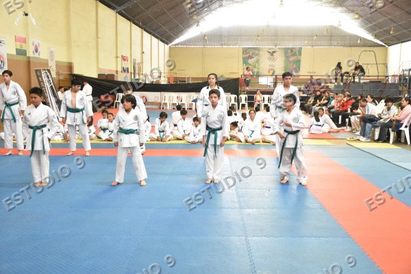Foto de la galería