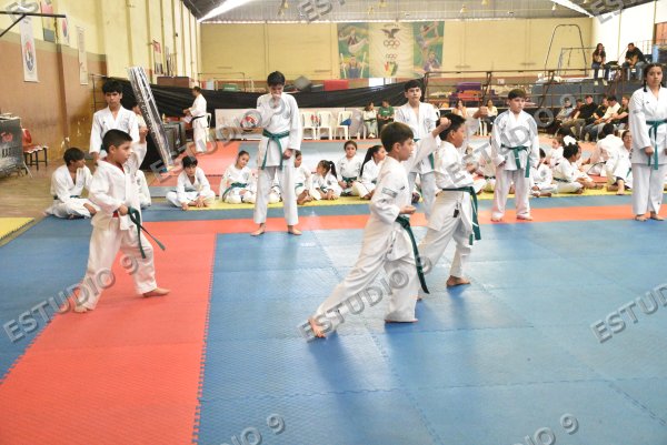 Foto de la galería