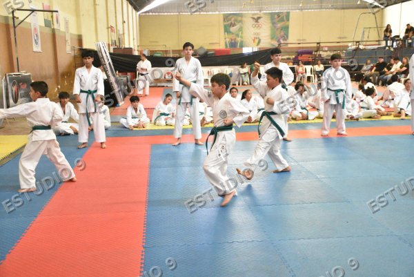 Foto de la galería