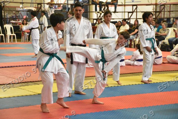 Foto de la galería