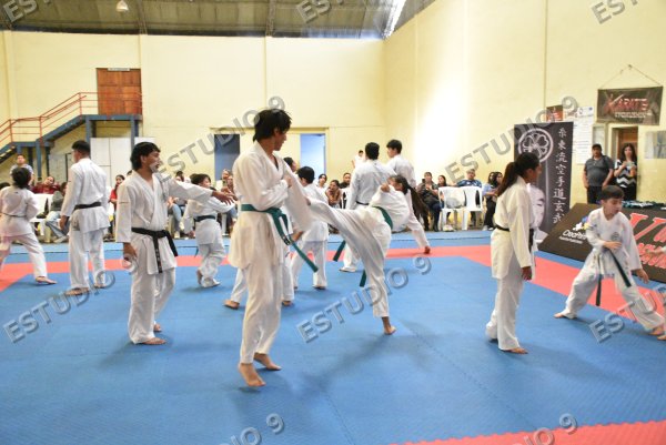 Foto de la galería