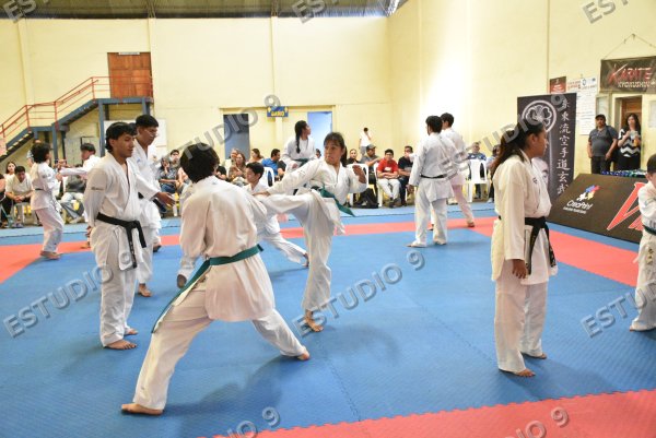 Foto de la galería