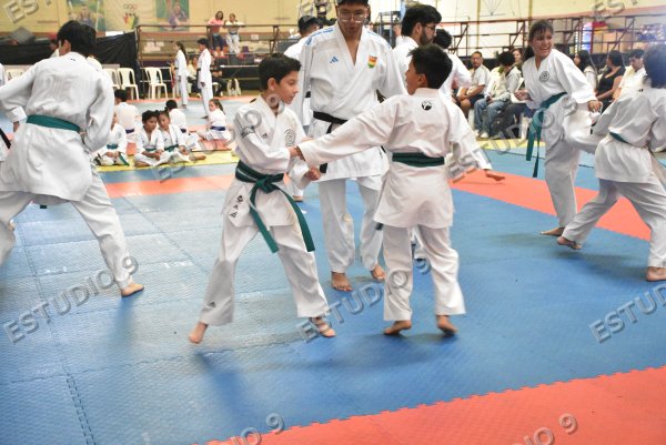 Foto de la galería