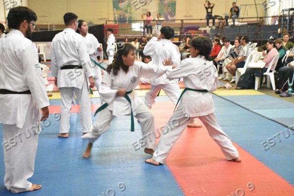 Foto de la galería